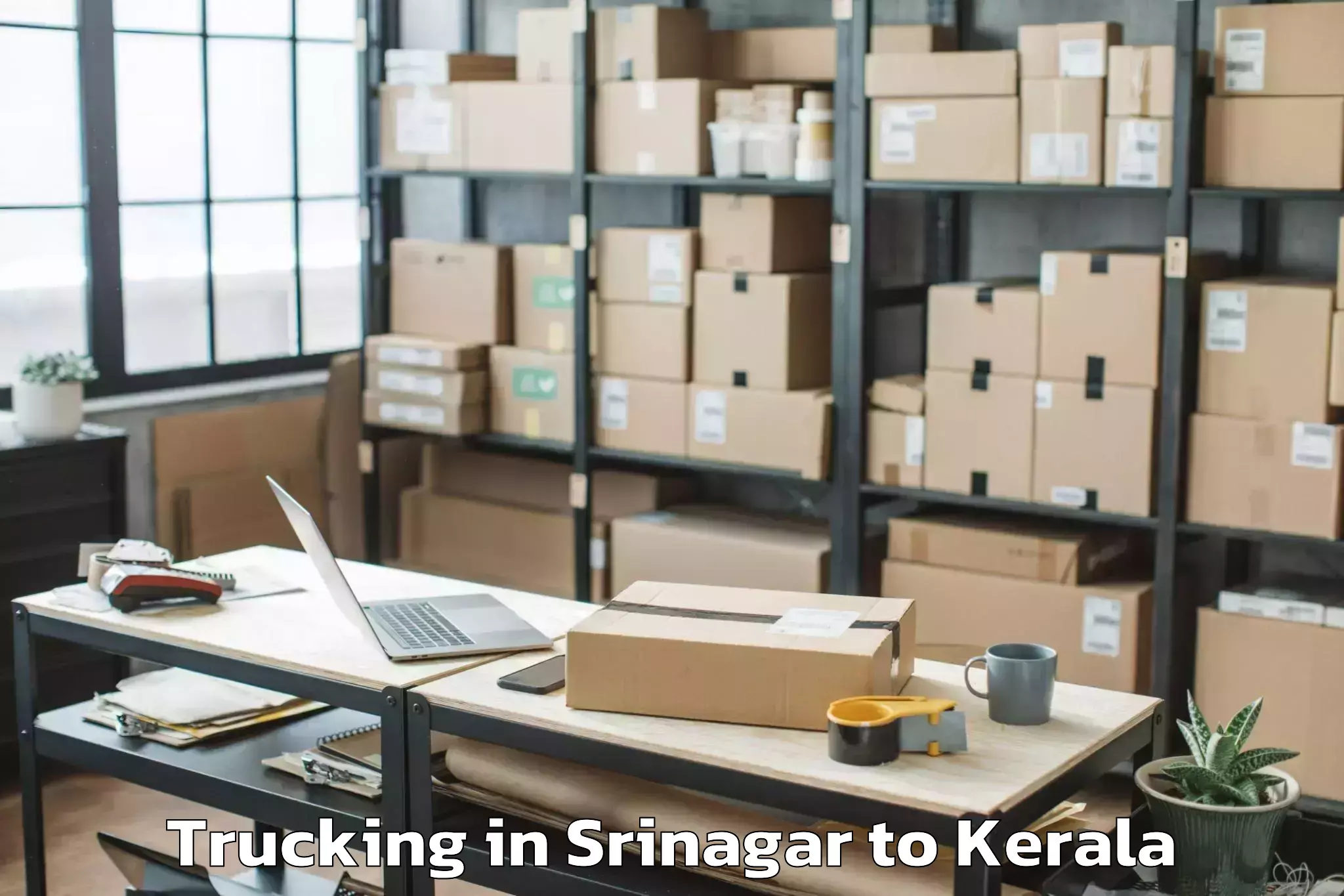 Affordable Srinagar to Kerala Kalamandalam Cheruthuru Trucking